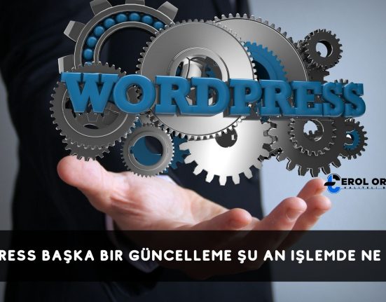 Wordpress Başka Bir Güncelleme Şu An İşlemde Ne Demek?