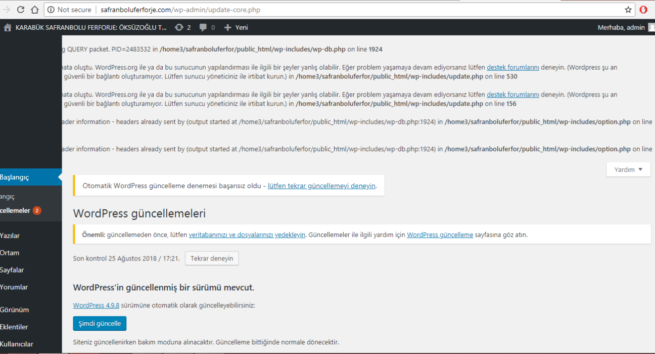 wordpress başka bir güncelleme şu an işlemde​