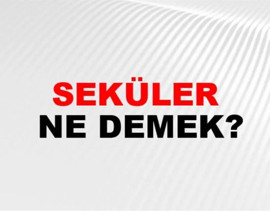 seküler ne demek