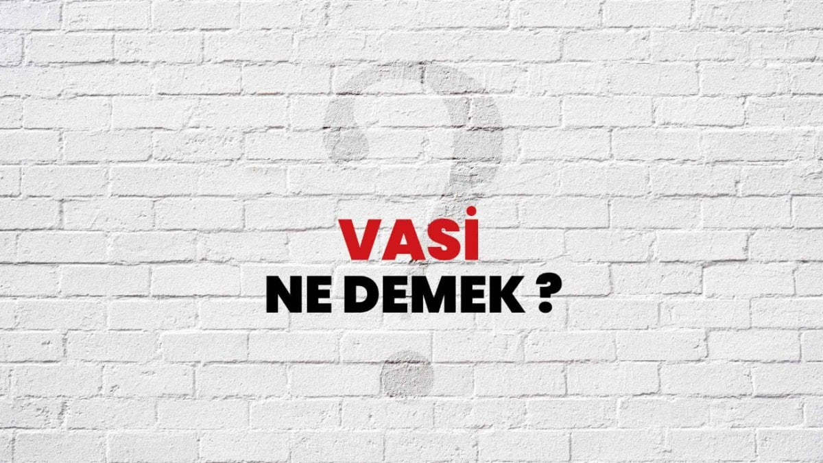 Vasi Ne Demek